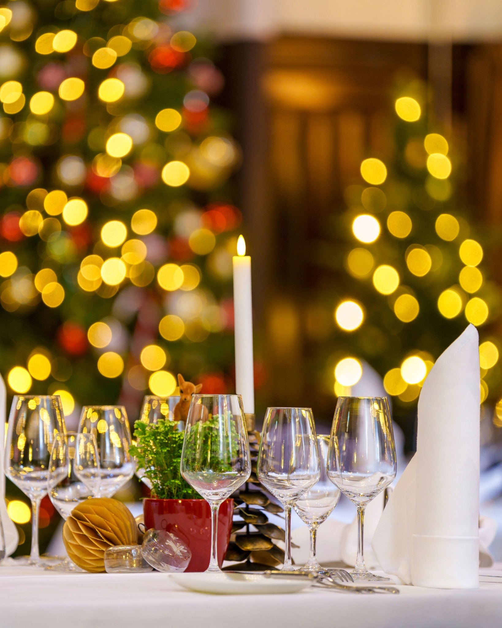 Book Your Three-Course Christmas Lunch in the Heart of Helsinki 🎄
Celebrate the season with a beautifully curated lunch at Hansa Café Bar & Brasserie. Begin with your choice of tartare or cured salmon, followed by two exquisite main course options. Conclude with a lavish dessert buffet, brimming with festive indulgence.
🍴December 9–12 & 15–19 | 12:00–15:00 | €59.90 per guest
hansacafehelsinki.com
#HansaCafeBarBrasserie #ChristmasLunch #ChristmasLunchHelsinki
